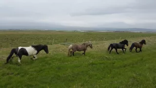 Na ceste po severnom Islande