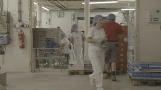 Industrie (4/12)