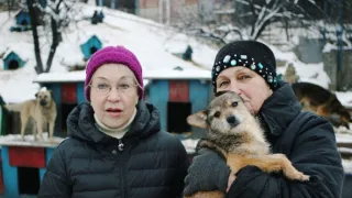 2017 - 2020: V Kyjeve sa nestrieľa