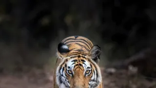 Zázračná planéta: Dynastie (5/5)