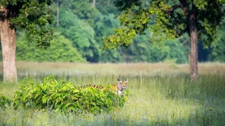 Zázračná planéta: Dynastie (5/5)