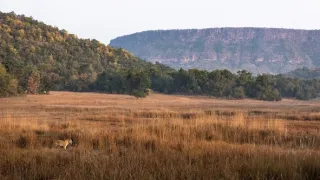 Zázračná planéta: Dynastie (5/5)