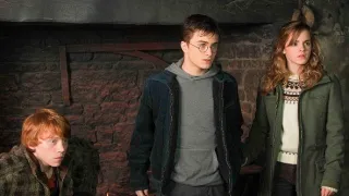 Harry Potter a Fénixův řád