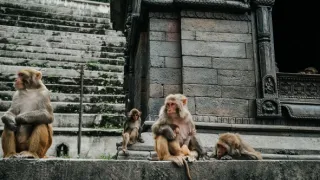 Dobrodružné výlety II (5)