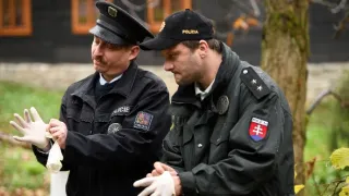 Strážmistr Topinka (3/13)