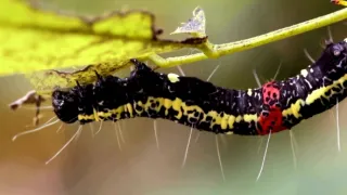 Nejkrásnější scenérie světa