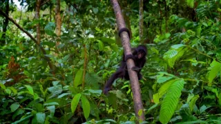 Nejkrásnější scenérie světa