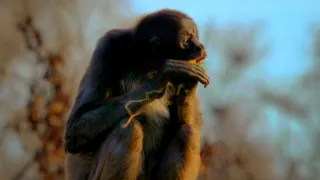 Nejkrásnější scenérie světa