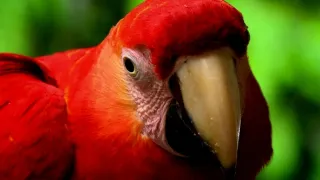 Nejkrásnější scenérie světa