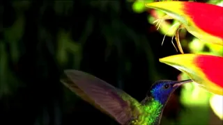 Nejkrásnější scenérie světa