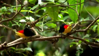 Nejkrásnější scenérie světa