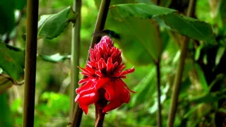 Nejkrásnější scenérie světa