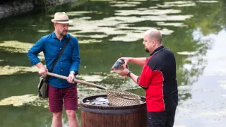 Krajinou vína II (7/10)