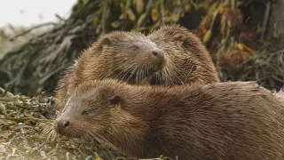 Wales - divoká příroda západu Velké Británie