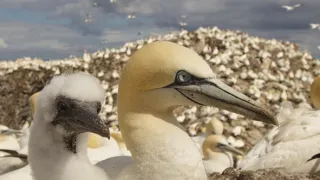 Wales - divoká příroda západu Velké Británie