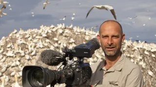 Wales - divoká příroda západu Velké Británie