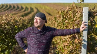 Krajinou vína II (9/10)