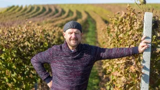 Krajinou vína II (9/10)