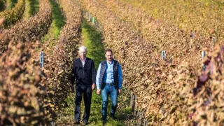 Krajinou vína II (9/10)