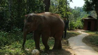 Divoká príroda Číny (2/2)