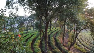 Divoká príroda Číny (2/2)