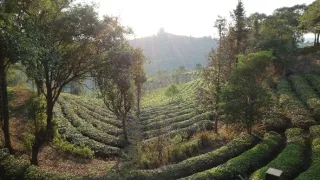 Divoká príroda Číny (2/2)