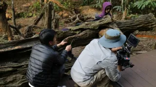 Divoká príroda Číny (2/2)