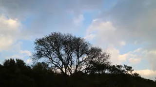 Divoká príroda Číny (2/2)