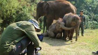 Divoká príroda Číny (2/2)