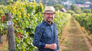 Krajinou vína II (8/10)