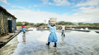 Mauricius, perla Indického oceánu