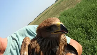 Divoké zločiny (3)