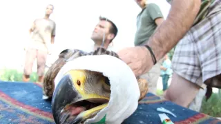 Divoké zločiny (3)