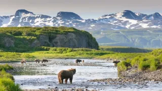 Extrémní zvířata (4)