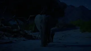 Kalahari - zákony pouště (1/2)