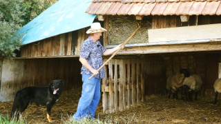 Farmář hledá ženu