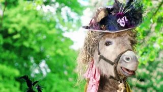 Nanny McPhee - A varázsdada