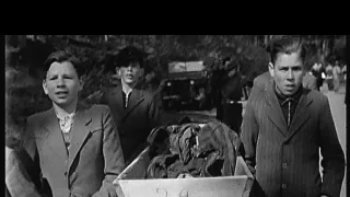 Hon na nacisty (2/2)