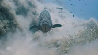 Ticho ve Středozemním moři