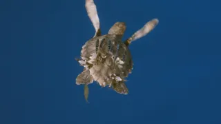 Ticho ve Středozemním moři