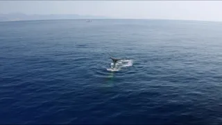 Ticho ve Středozemním moři