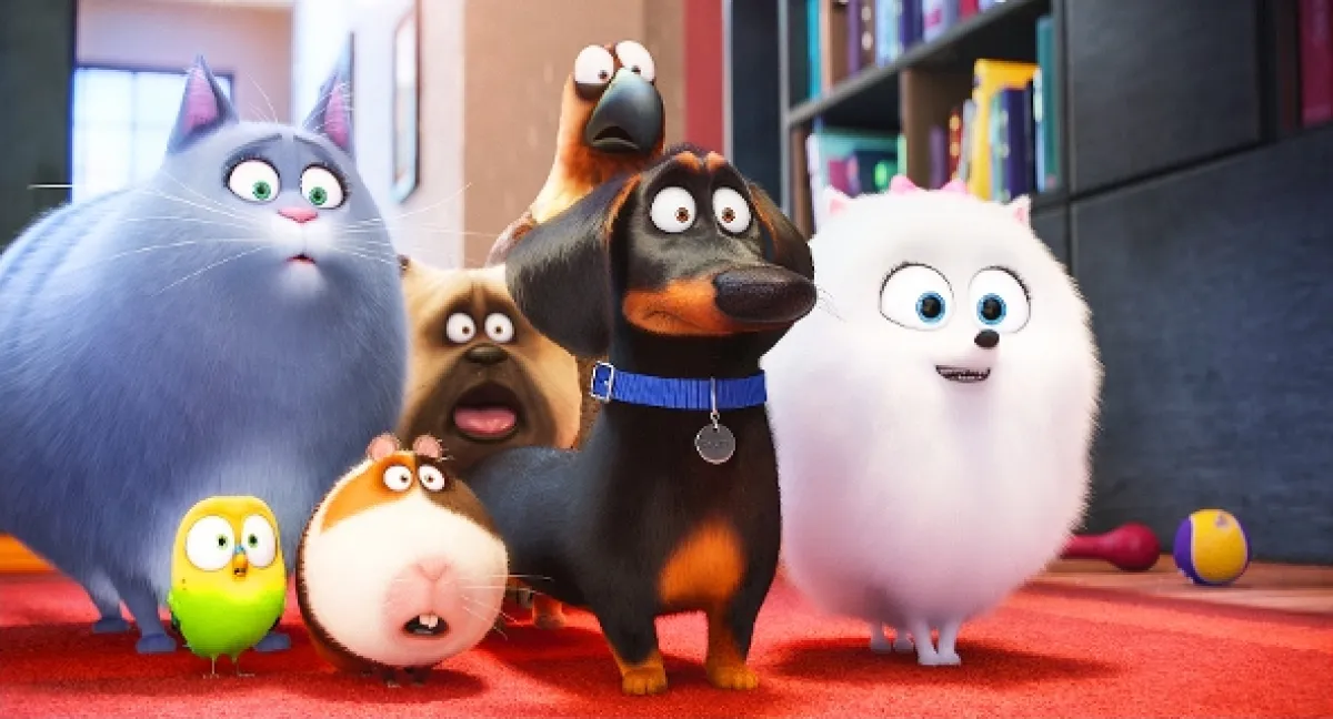 Tajný život maznáčikov (The Secret Life of Pets), 2016 - fotogaléria