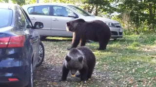 Na cestě po rumunském Valašsku