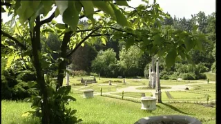 Správa o mužovi, ktorý nechcel vojnu