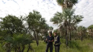 České stopy v rostlinné říši Latinské Ameriky