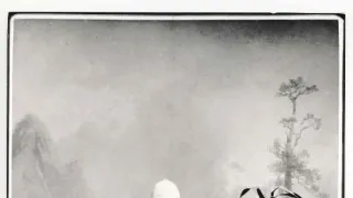 České stopy v rostlinné říši Latinské Ameriky