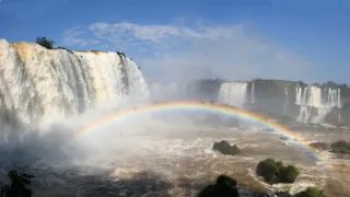České stopy v rostlinné říši Latinské Ameriky