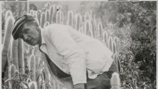 České stopy v rostlinné říši Latinské Ameriky