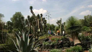 České stopy v rostlinné říši Latinské Ameriky