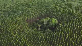 Zázračná planeta: Planeta Země III (5/8)